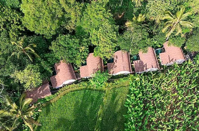 Sacred Canyon Ubud By Genuinehost 3*