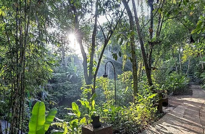 Sacred Canyon Ubud By Genuinehost 酒店 Buahan